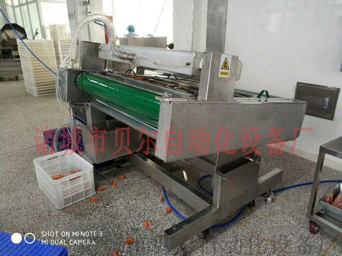 山東貝爾廠家直銷 休閑食品真空包裝機(jī)械的卓越選擇